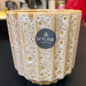 lugano scalloped medium