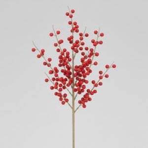 red ilex