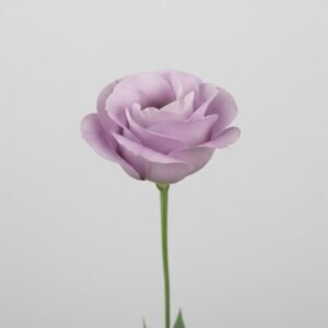 light purple lisianthus