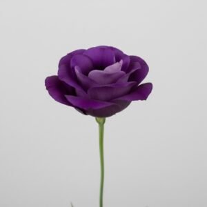 purple lisianthus copy